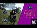 Console Black Desert Online In-depth Farming Guide 2021