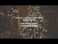 【中字】meenoi - Never Leave Me (Feat. pH-1)
