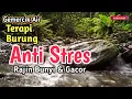 Download Lagu SOLUSI BURUNG MACET‼️ Suara Gemercik Air - Terapi Anti Stres - Rajin Bunyi dan Gacor
