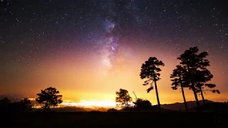 زدني بفرط الحب فيك تحيرا سلطان العشاق ابن الفارض 