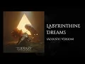 Lagu The Athene Noctua - Labyrinthine Dreams (Acoustic Version)