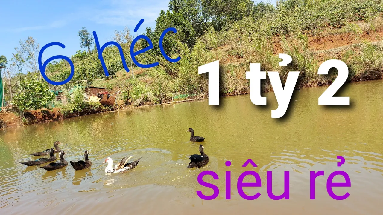 Bán 6ha đất nông nghiệp siêu rẻ. 1 tỷ 3.