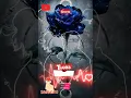 Download Lagu STORY HIDUP CINTA KASIH SAYANG