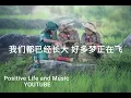 小虎队 红蜻蜓 Lyrics 歌词版 #positivelifeandmusic #红蜻蜓 🎵❤