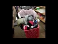 Checking out Unique Thrift Store in Union City NJ Estate Sale Live Hunting Finds 19