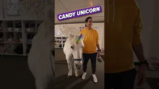 Do you believe unicorns are real
