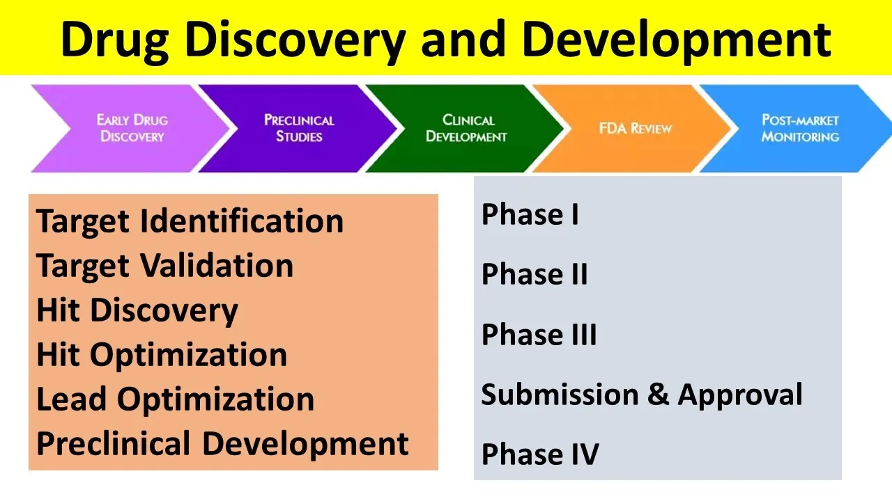 Drug Discovery and Development | Detailed Explanation of Preclinical and Clinical Steps |