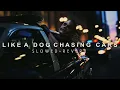 The Dark Knight - Like A Dog Chasing Cars (Slowed + Reverb)
