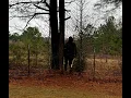PART 2 of 3 The Texas Ebenezer Situation -