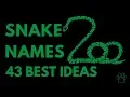 Snake Names - 43 BEST Ideas Names