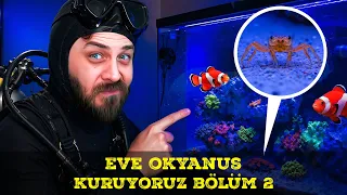EVE OKYANUS KURUYORUZ BÖLÜM 2 - DENİZ AKVARYUMU