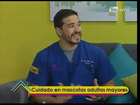 Cuidado en mascotas adultas mayores 
