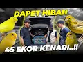 SYOKK BANGETT..! DAPET KIRIMAN 45 EKOR BURUNG KENARI..!! LEPASIN DI AVIARY NIH..?