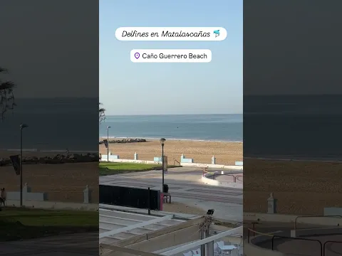 delfines en matalascañas, caño guerrero, HUELVA, ALMONTE #shorts