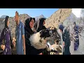 Download Lagu Nomadic life: Father's journey to the city of love and effort in the nomadic world