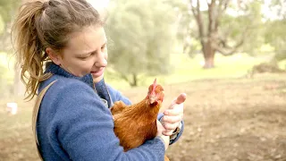 Nothing goes to waste (a day in the life) – Free Range Homestead Ep 10