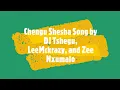 Chengu Shesha Song by DJ Tshegu, LeeMckrazy, and Zee Nxumalo