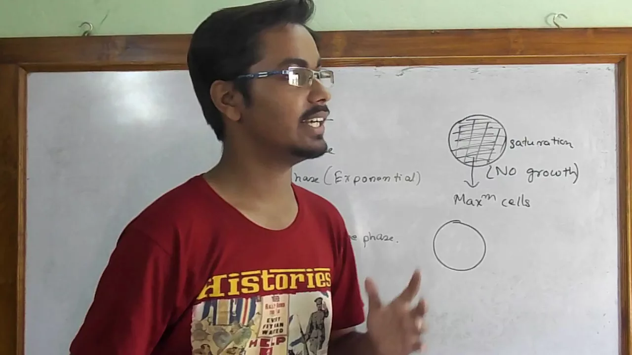 Growth kinetics of cell in culture