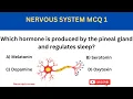 NERVOUS SYSTEM PRACTICE QUIZ