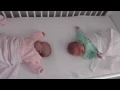 TWINS SHARING A COT BED UK