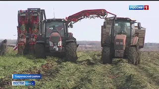 Уборочная кампания в Омской области выходит на финишную прямую
