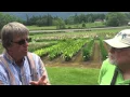 Mt Pleasant Iris Farm