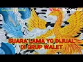 Download Lagu SP. BJA SUPER B1R4H1 ANU⁉️