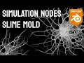 Slime Mold Simulation Nodes Tutorial Blender 3 6a
