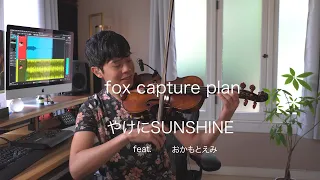 Download fox capture plan / やけにSUNSHINE feat. おかもとえみ (Jason Yang cover) MP3