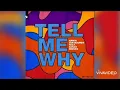 Armin Van Buuren Feat.Sarah Reeves - Tell Me Why (Extended Mix)