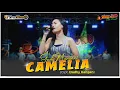 Lagu GADIS MURYANI - CAMELIA || O.M WONG JOWO