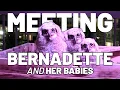 Meet Bernadette and her babies the owl family who took over apartment balcony in Waco Texas
