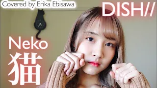 Download 『猫 (Neko)』DISH// cover 【歌ってみた】 MP3