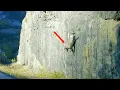Download Lagu How do Mountain Goats stand on steep cliffs? These Goats can climb rocks better than people.