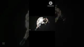 Ratasu Show Versus Baki Hanuman And Yochiro Hanama In Baki Hanama Episode Baki Hanama Youchiro Aura 