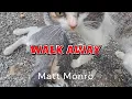 Download Lagu Walk Away - Matt Monro Karaoke | Cute Cats and Kittens