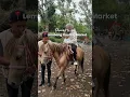 Download Lagu Places to visit \u0026 stay in Bandung, Indonesia 🇮🇩
