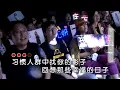 走着走着就散了 -  庄心妍  (KTV 伴唱版)