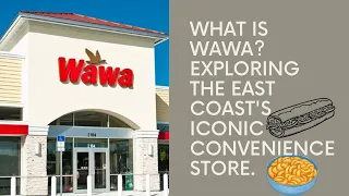 What is Wawa Exploring the East Coast s Iconic Convenience Store
