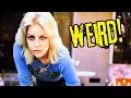 Foxes The Top 10 Weird But True Facts