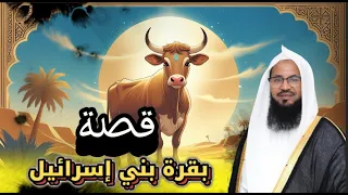 قصة بقرة بني إسرائيل من قصص الشيخ محمد بن علي الشنقيطي 