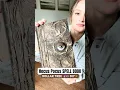 Hocus Pocus Spell Book DOLLAR TREE DIY