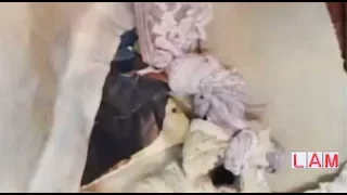 las brujer as de roc o oliva a diego maradona
