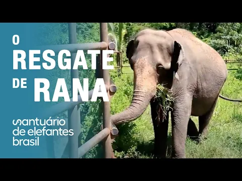 Vídeo do YouTube
