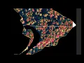Algorithmic Pixel Processing