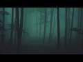 Digging Up The Past - Lord Huron (Slow/Reverb)