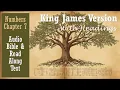 NUMBERS 7 KJV DRAMATIZED BIBLE With Text Images