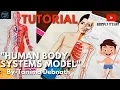 Download Lagu Human body system 💀 🧒.     #human #humanbody #science #scienceproject #humananatomy #school #art