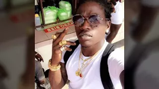 stunna feel like a boss audio version