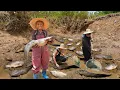 Download Lagu 超大野生鯰魚，阿婆和孫子抓了200斤｜Catching 200 kilograms of wild catfish to make traditional Chinese cuisine｜玉林阿婆